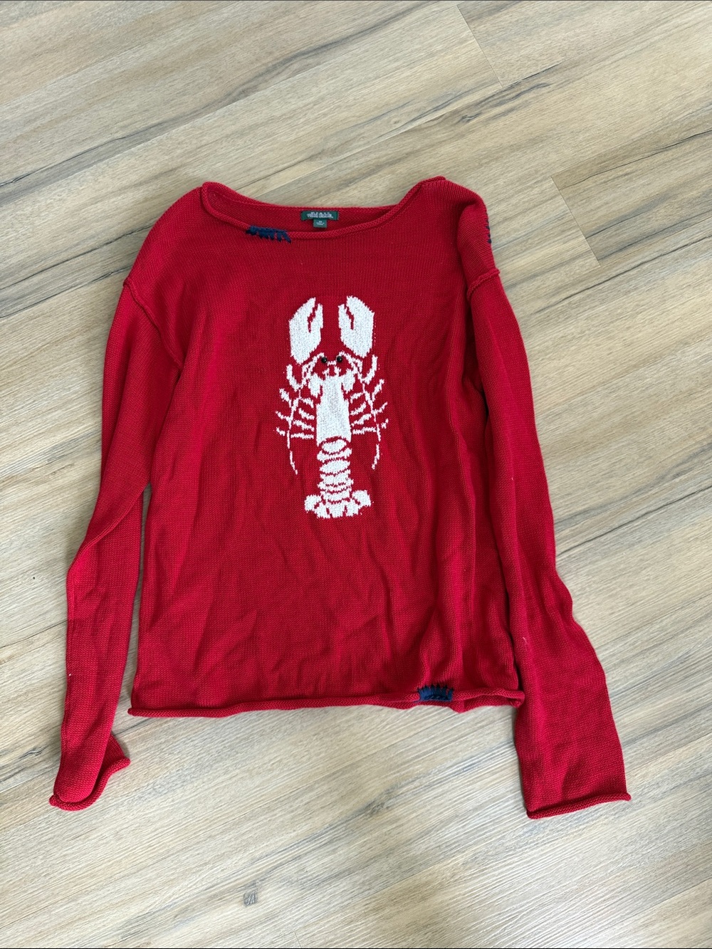 Wild fable sweater